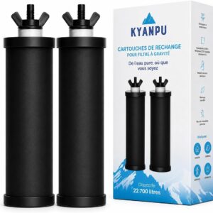 Pack 2 Filtres Charbon Actif & Ultrafiltration pour Filtre Gravité – Compatible Berkey & British Berkefeld